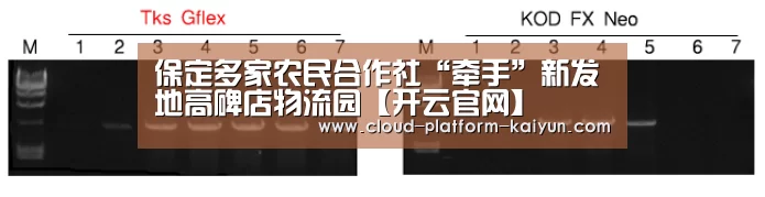 保定多家农民合作社“牵手”新发地高碑店物流园【开云官网】(图2) 开云官方服务