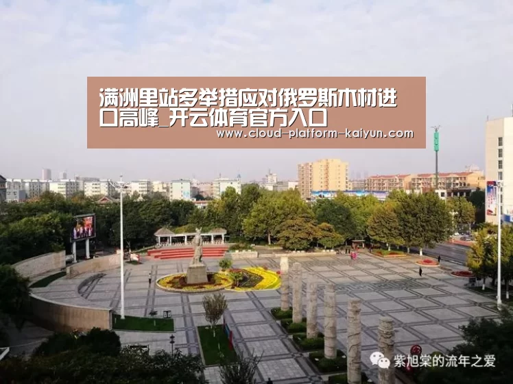 满洲里站多举措应对俄罗斯木材进口高峰_开云体育官方入口