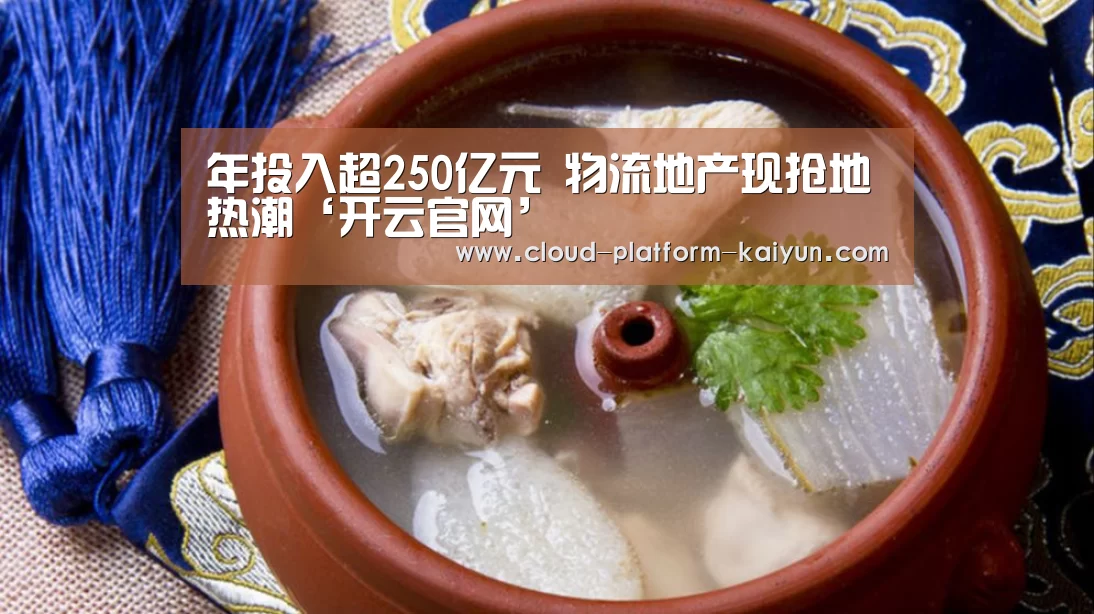 年投入超250亿元 物流地产现抢地热潮‘开云官网’(图4) 开云体育官网
