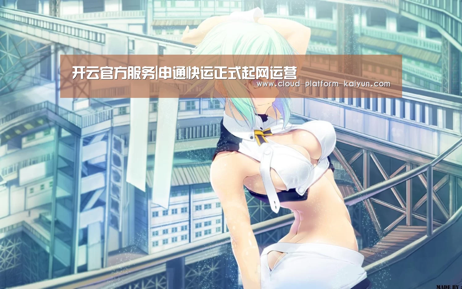开云官方服务|申通快运正式起网运营(图2) 开云官网