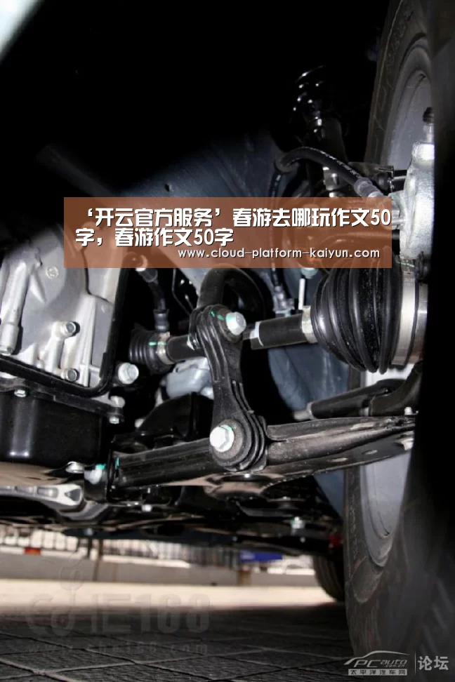 ‘开云官方服务’春游去哪玩作文50字,春游作文50字(图2) 开云体育官方入口