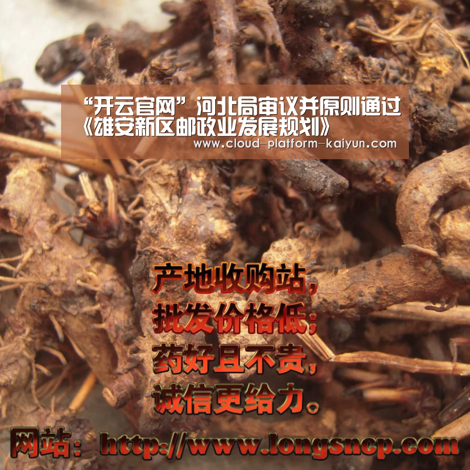 “开云官网”河北局审议并原则通过《雄安新区邮政业发展规划》(图2) “开云官网”河北局审议并原则通过《雄安新区邮政业发展规划》(图2)