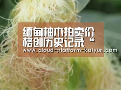 缅甸柚木拍卖价格创历史记录“开云官方服务”(图2) 开云官方服务